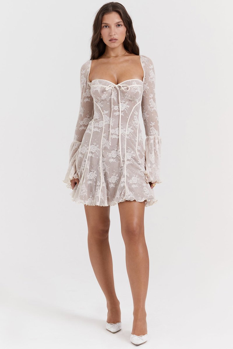 Romance Lace Mini Dress